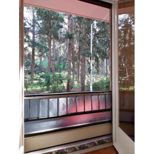 Park-view apartment