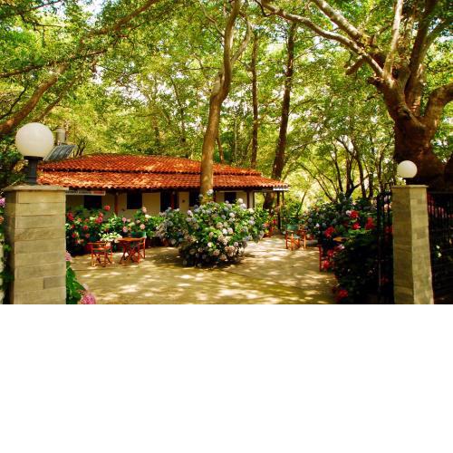 Parselia Studios