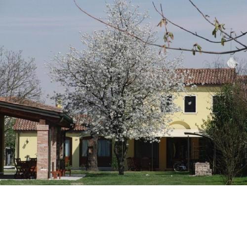 Particolari del Brenta