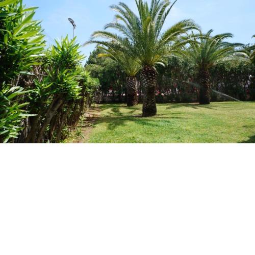 Patio Andaluz