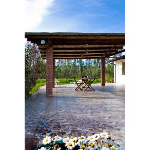 Patio House