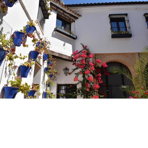 Patio San Andrés