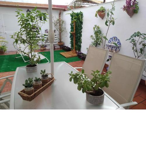 Patios con encanto