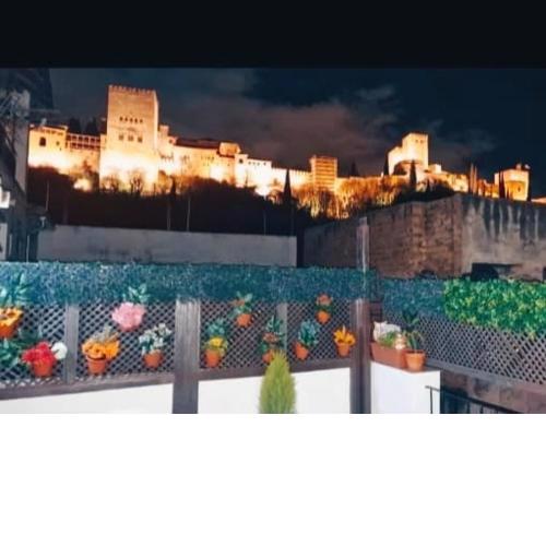 PATRIMONIO ARABE VISTA A LA ALHAMBRA