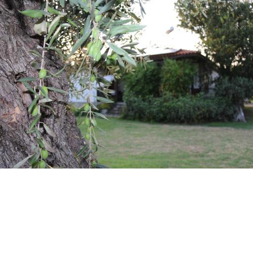 Patroudis House