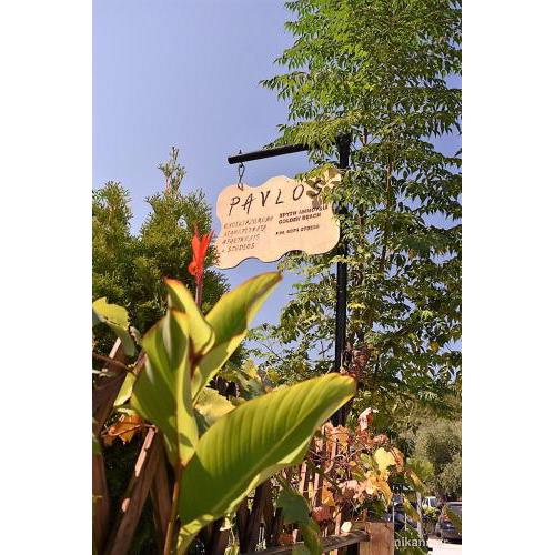 PAVLOS ROOMS