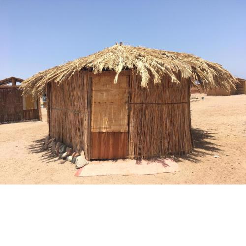 Peace land camp