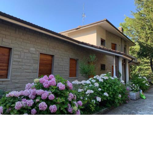 Peaceful Country Living at Apartments at Villa Clara