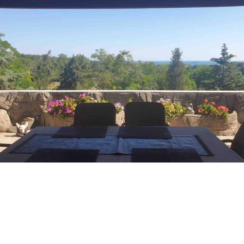 Peaceful hometown with perfect sea and forest view