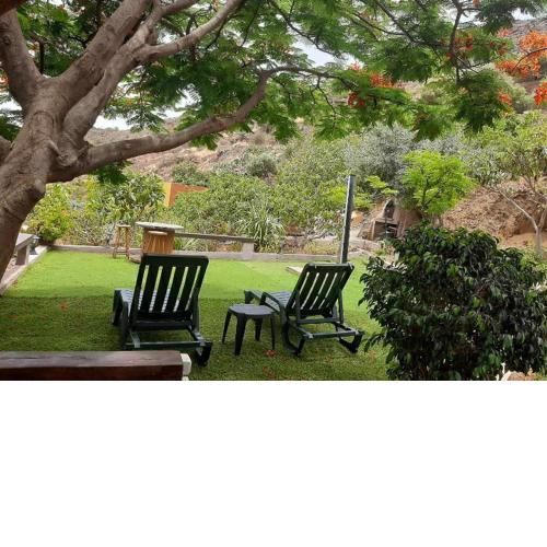 Peaceful house set on a vineyard & work friendly