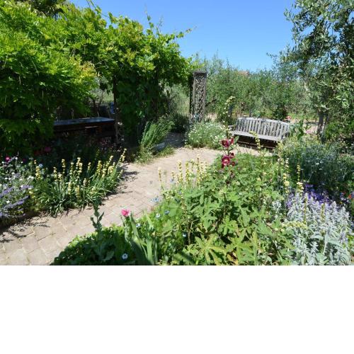 Peacefully located apartment in Gatteo near the sea