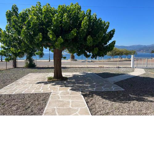 PebBle Apartments