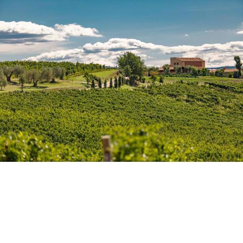 Pecora Vecchia - ColleMassari Hospitality
