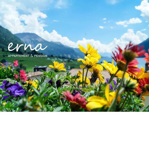 Pension Apartment Erna