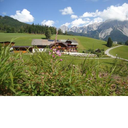 Pension-Greimelbacherhof