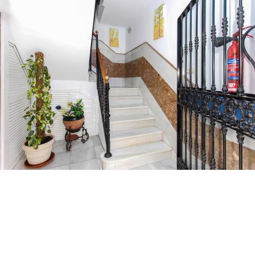 Pension Hidalgo 1