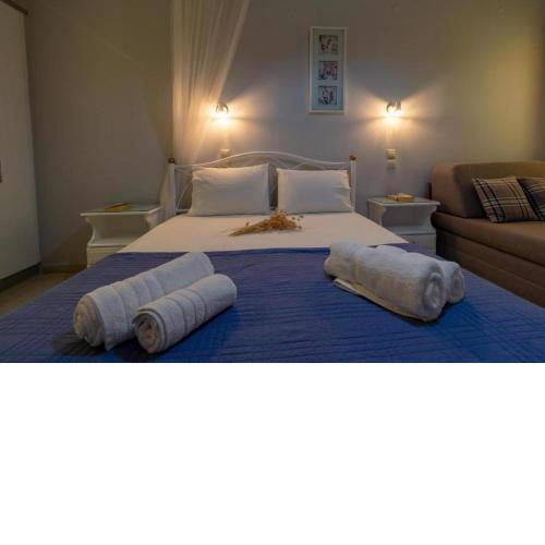 pension holidays studios