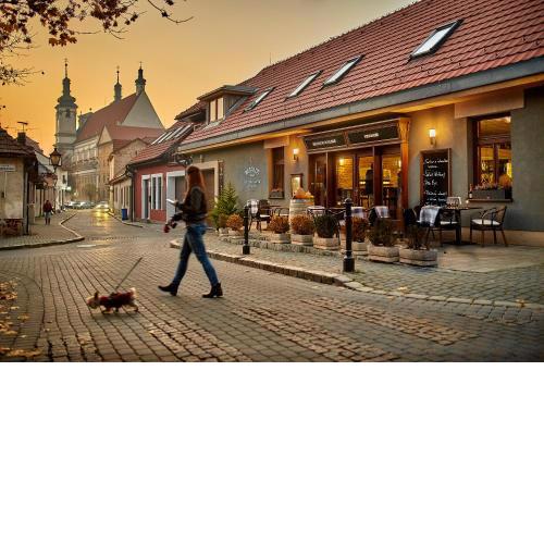 Pension & Restaurant PATRIOT Trnava