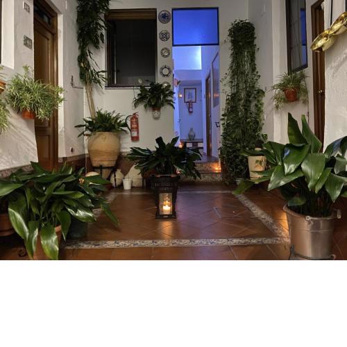 Pension San Pancracio