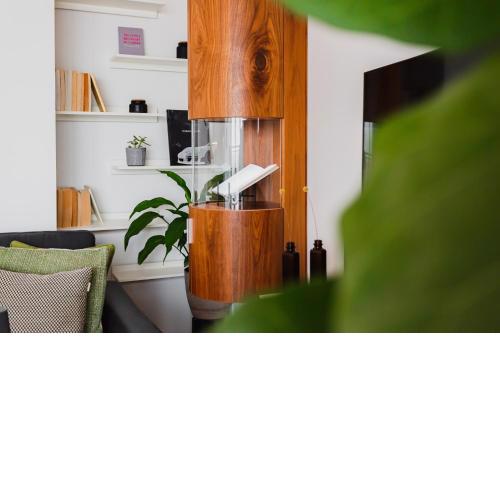 Penthouse design apartment