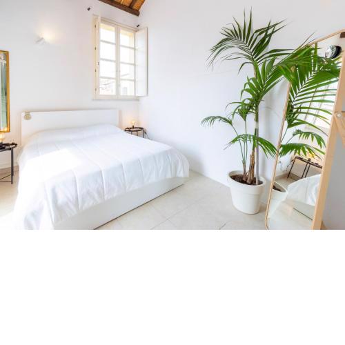 Penthouse with Terrace in historic centre