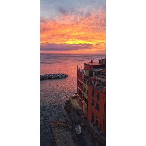 Pepita di Rio