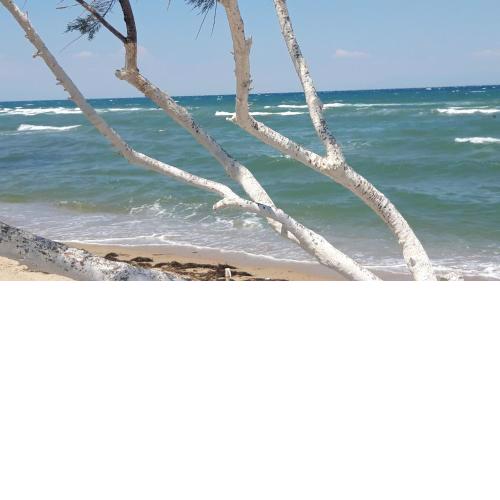Perea white suites