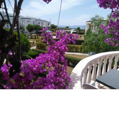Perfect Sea and Lake View, Daily Rental Apt Bodrum, D16