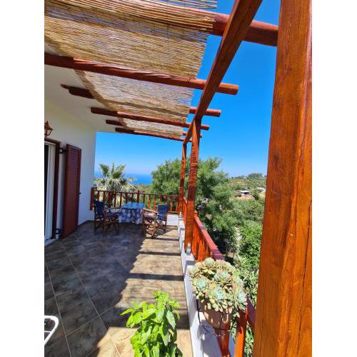 Pergola Home