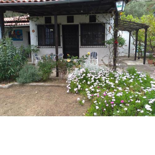 Persefoni house