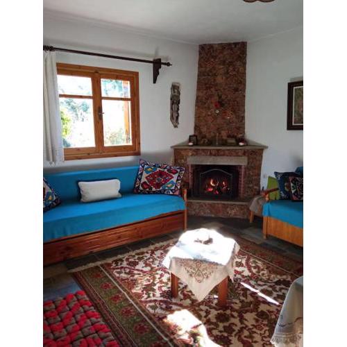 Persefoni's Traditional House