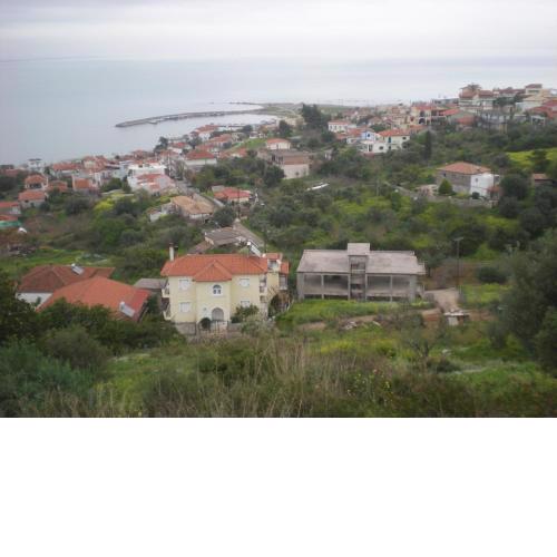 Petalidi Gedigio