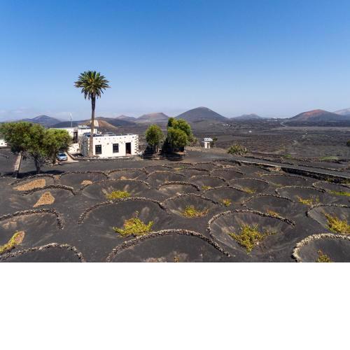 Petit La Geria Lanzarote