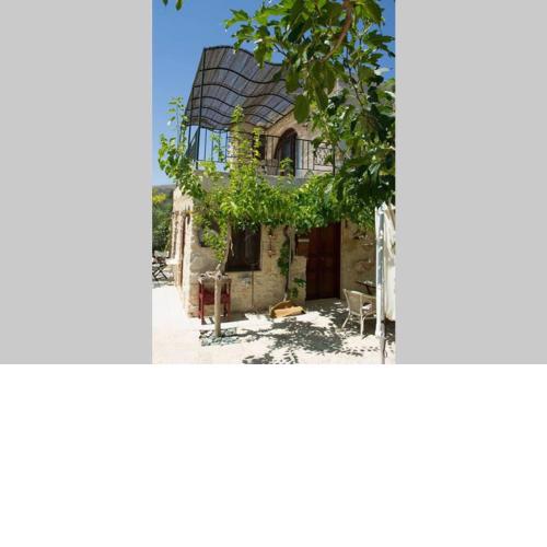 Petite Olive House