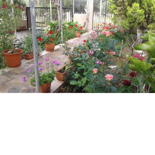 Phaistos Country House