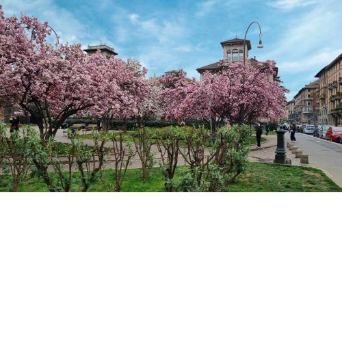 Piazza Niccolo Tommaseo 2A