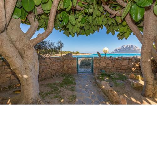 Piazzetta Villa Roxy 10Mt From Seashore