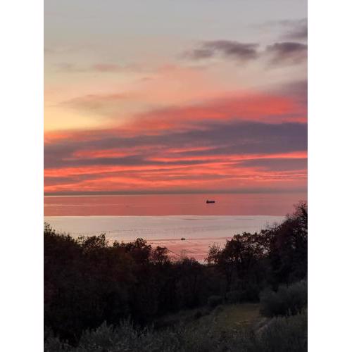 Piccola California