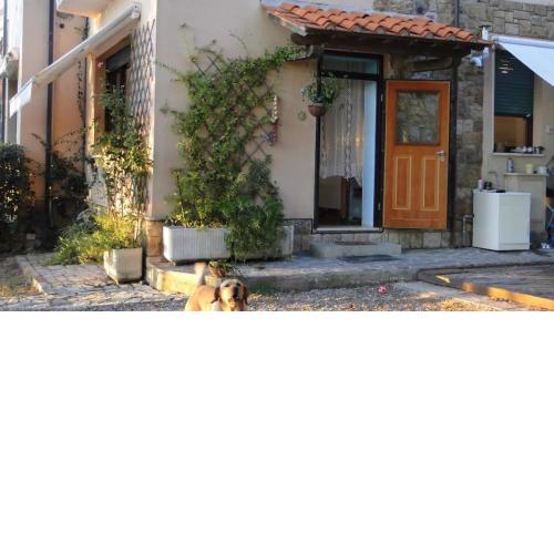 Piccola casa immersa nel verde