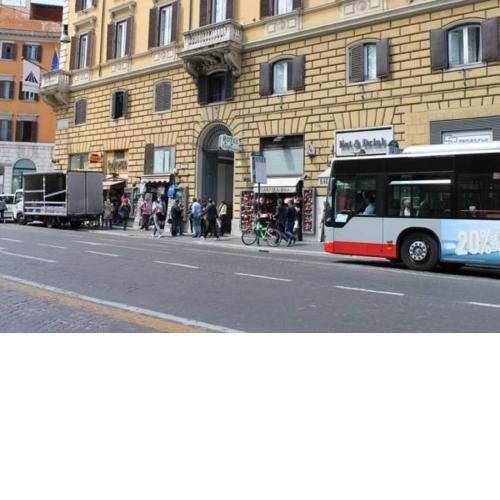 Piccolo Fiore
