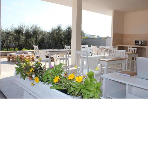 Piccolo Ulivo B&B Salento