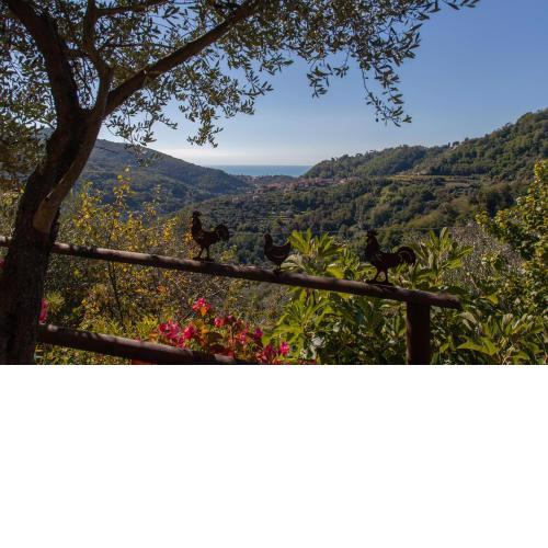 Pietrantica - Affittacamere con giardino NUOVA APERTURA a Trebiano -CITR