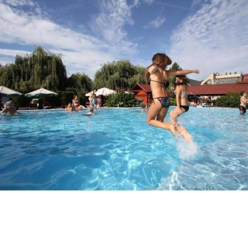 Piknik Wellness Hotel