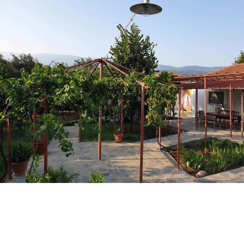 PILIO PARADISE GARDEN