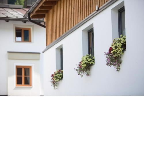 Piltriquitron Lodging