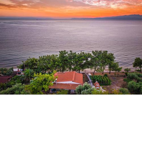 Pine Beach House