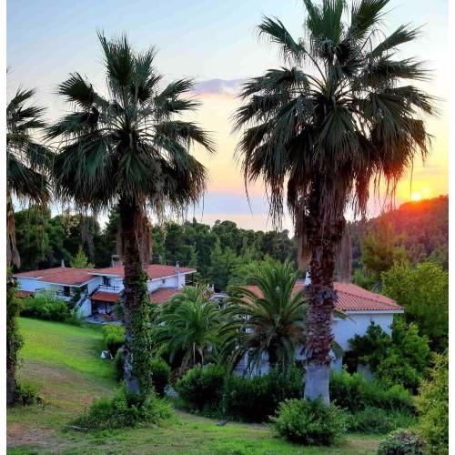 Pine Forest & Sea Retreat - 2 bedroom Apartment