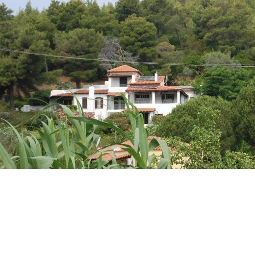 Pine home