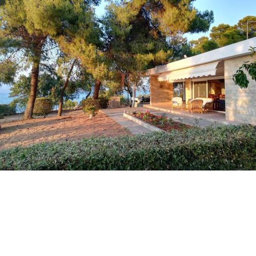 Pine tree beachfront villa