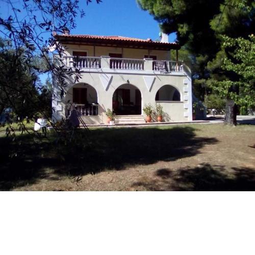 Pine tree house
